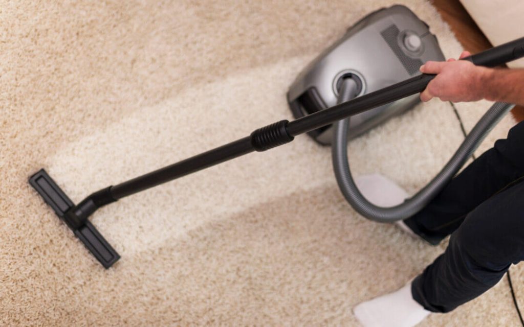 pet stain removal long island